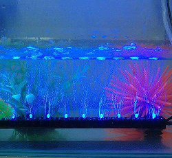 LED水底燈使用時，需要注意哪些事項(圖1)